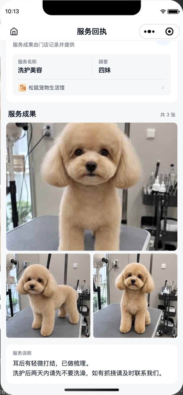 当前版松鼠会员卡服务成果回执，用三张宠物洗护照片和一段服务说明共同交付